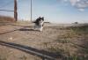 19950510_Acord_LetterOnEdiiePhoto_R.jpeg